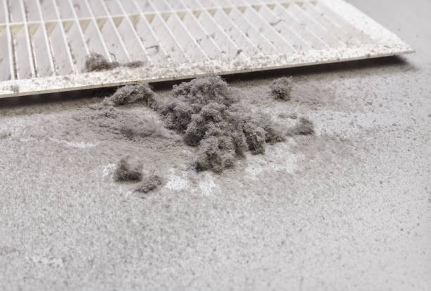 Best Best Air Duct Cleaning Company  in Henagar, AL